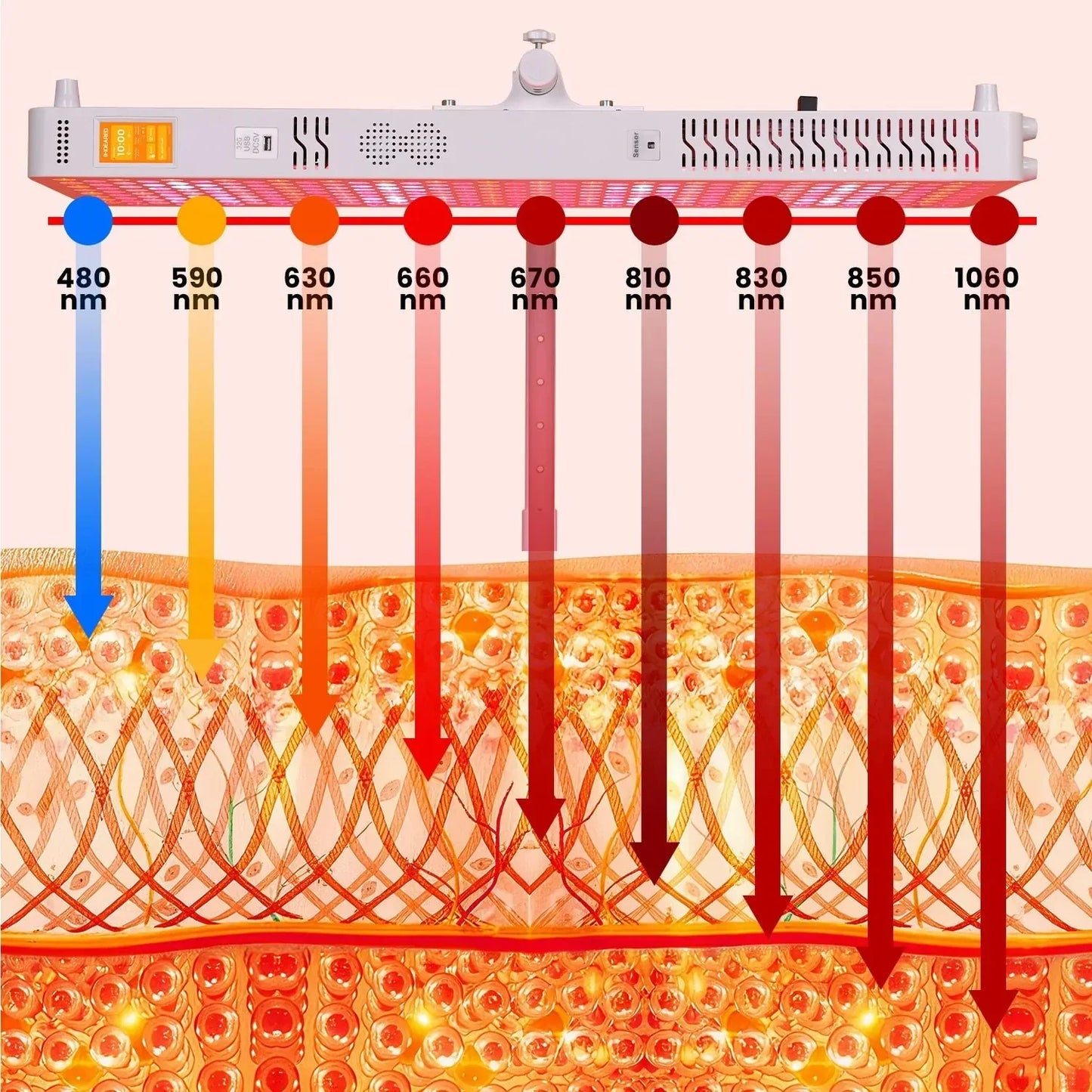 NV Pro 350 Gen 6 red light therapy panel emitting multiple wavelengths penetrating various skin layers
