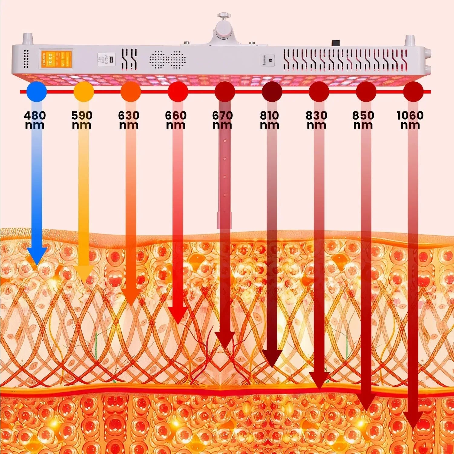 NV Pro 350 Gen 6 red light therapy panel emitting multiple wavelengths penetrating various skin layers